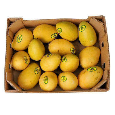 Best Quality Fresh Mangoes Small Size
