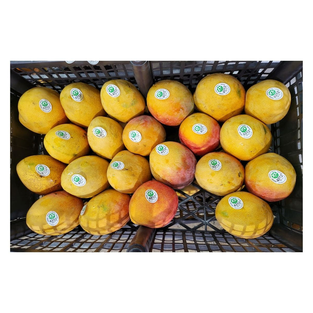 Best Quality Fresh Mangoes Large Size 10pcs - Singh Cart